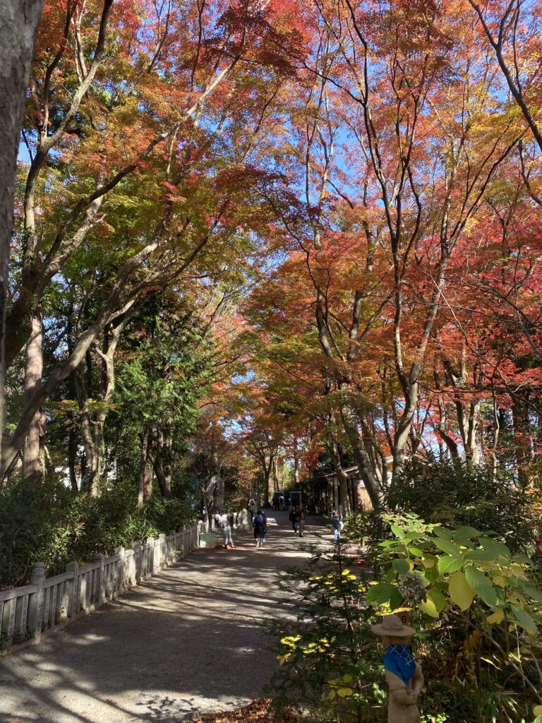 高尾山　仏舎利塔　紅葉