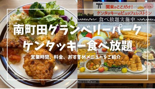 【2024年8月4日更新】ケンタッキー食べ放題を徹底解剖！営業時間・価格・おすすめメニューもご紹介